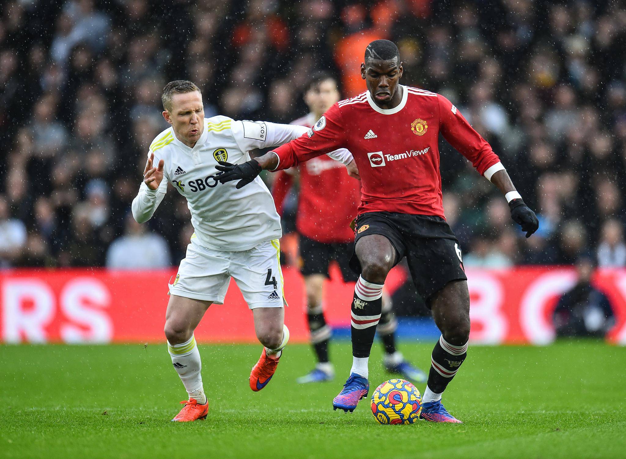 样一位拥有 样一位拥有